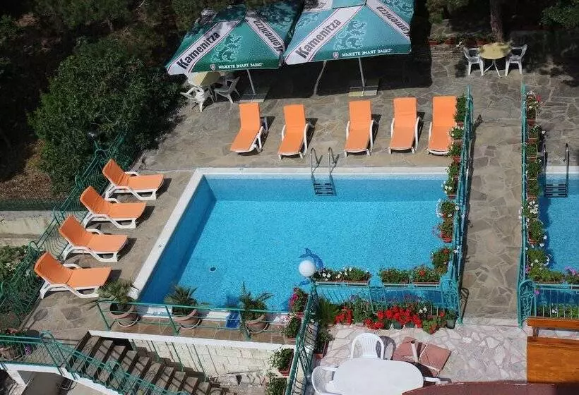 Fotos del hotel Hotel Zora:  2