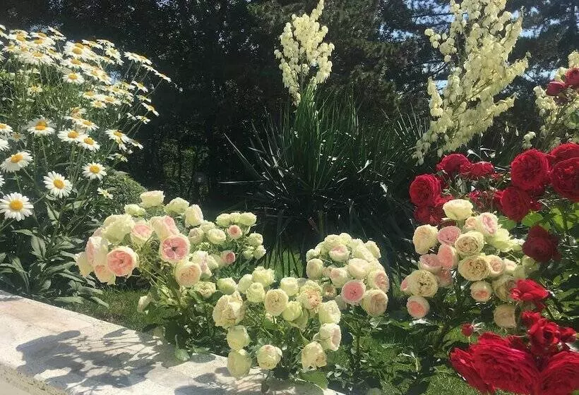 Fotos del hotel Hotel Zora:  16