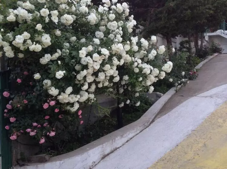 Fotos del hotel Hotel Zora:  24