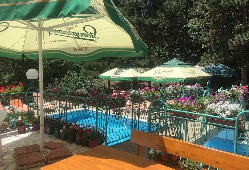 Fotos del hotel Hotel Zora:  13