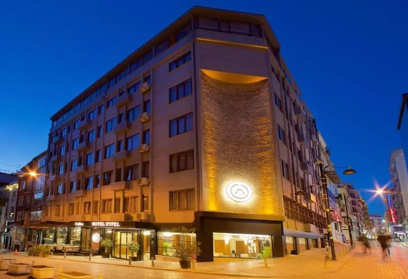 Fotos del hotel Eyfel:  11