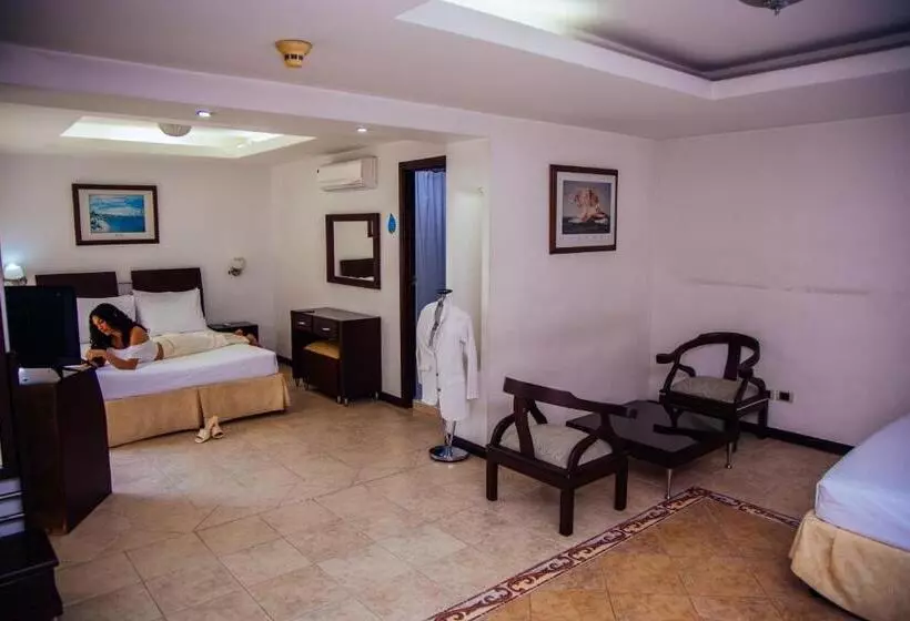 Fotos del hotel Plaza De Las Americas:  19