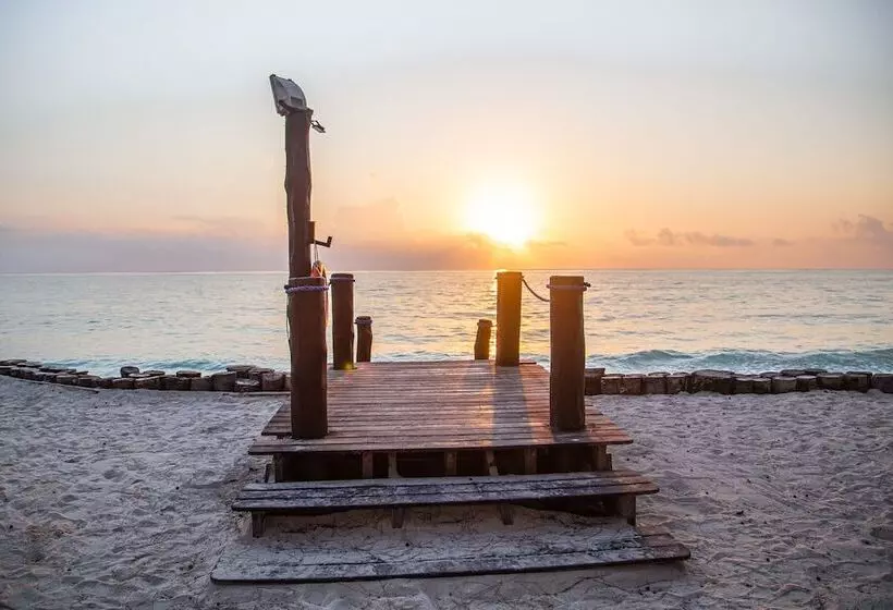 Fotos del hotel Tui Blue Bahari Zanzibar:  20