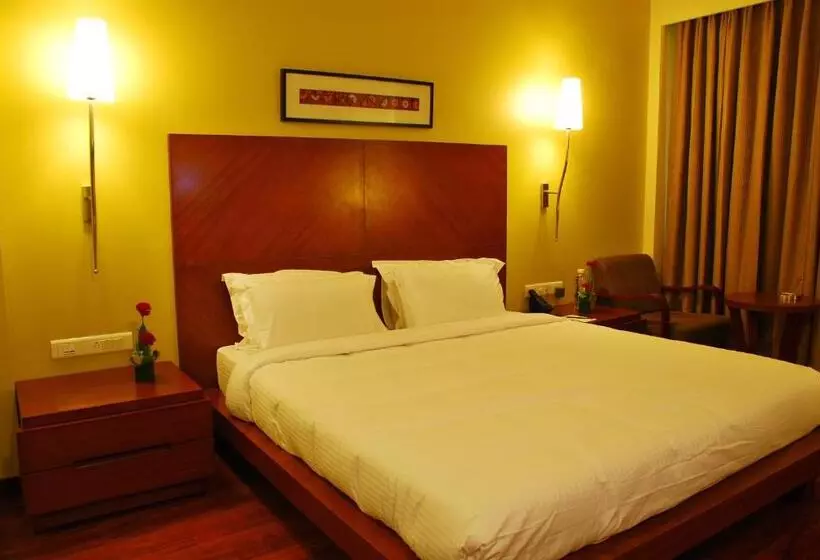 Fotos del hotel Cambay Grand Kukas:  13