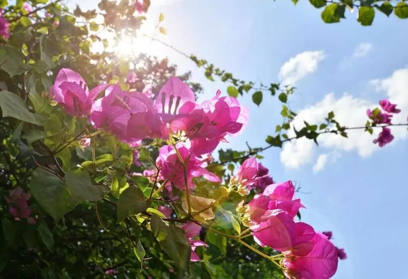 Fotos del hotel Puri Dewa Bharata Hotel & Villas:  7