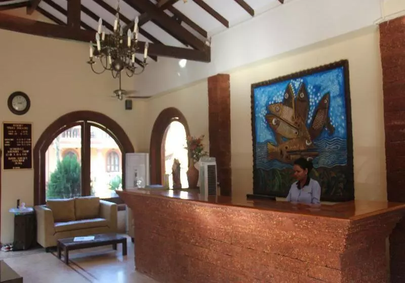 Fotos del hotel Resort Terra Paraiso:  3