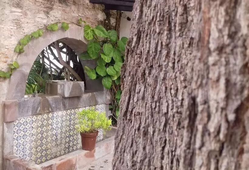 Fotos del hotel & Spa Doña Urraca San Miguel De Allende:  25