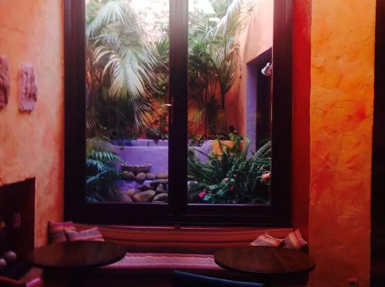 Fotos del hotel Amanhavis:  10