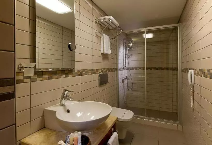 Fotos del hotel Istanbul Golden City Hotel:  5