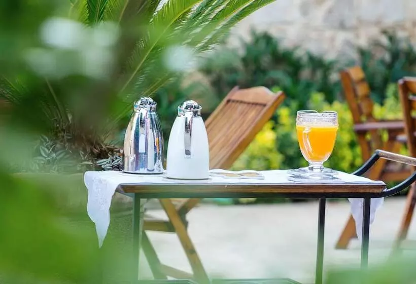 Fotos del hotel Kaucuk:  4