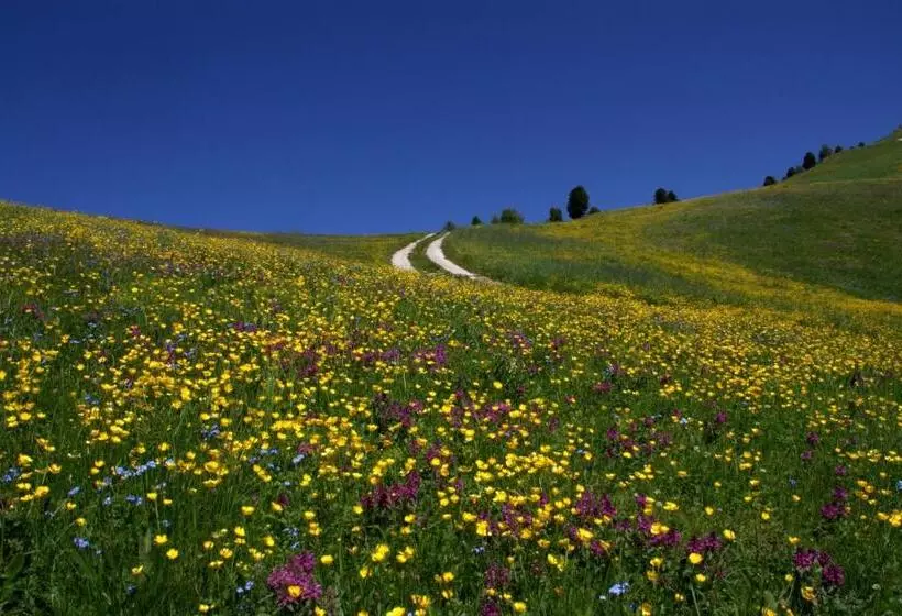 Fotos del hotel La Pineta:  25