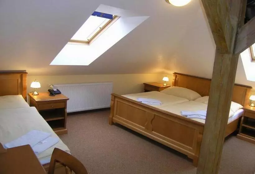 Fotos del hotel Brezina Pension:  18