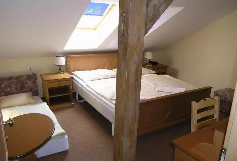 Fotos del hotel Brezina Pension:  25