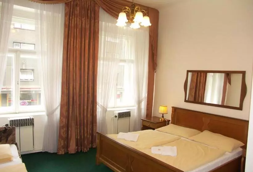 Fotos del hotel Brezina Pension:  19