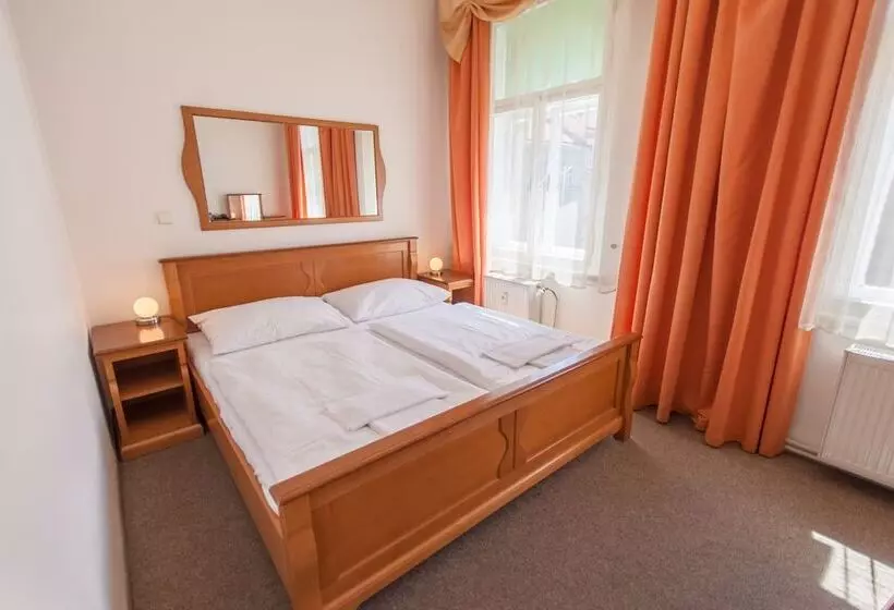 Fotos del hotel Brezina Pension:  8