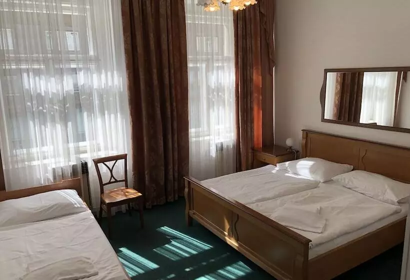 Fotos del hotel Brezina Pension:  23