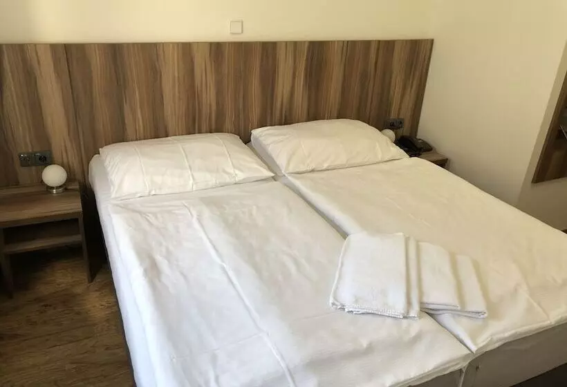 Fotos del hotel Brezina Pension:  15