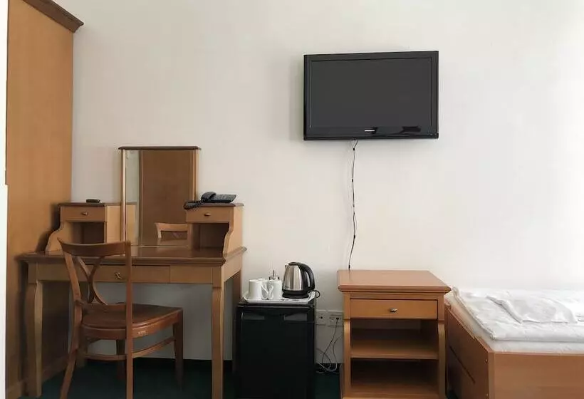 Fotos del hotel Brezina Pension:  21