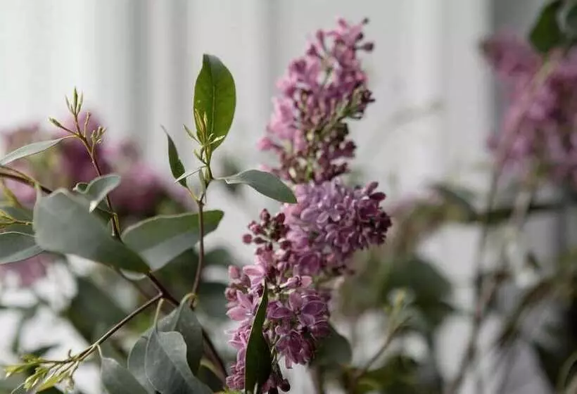 Fotos del hotel Pembroke Hall:  12