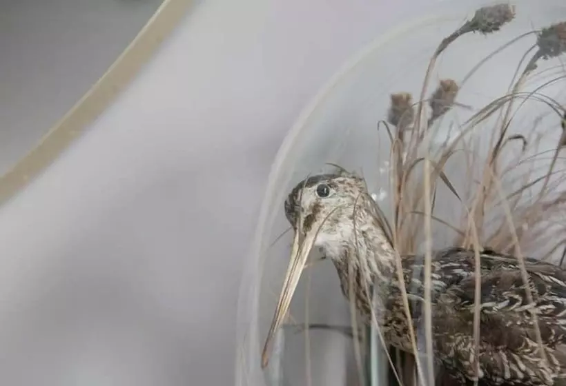 Fotos del hotel Pembroke Hall:  6