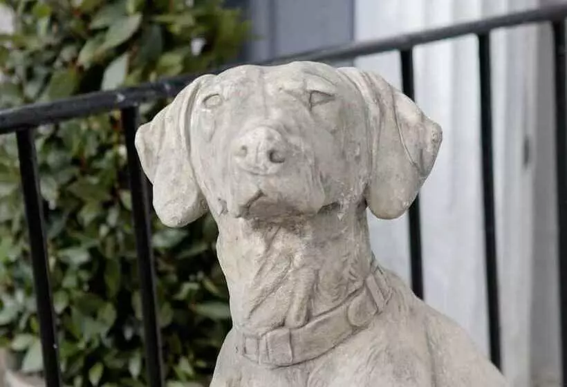 Fotos del hotel Pembroke Hall:  15