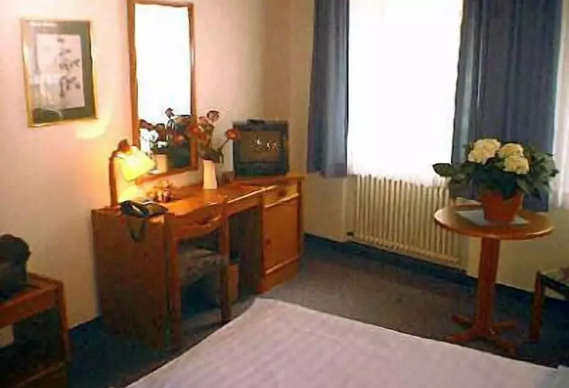 Fotos del hotel Drei Könige Dom:  15