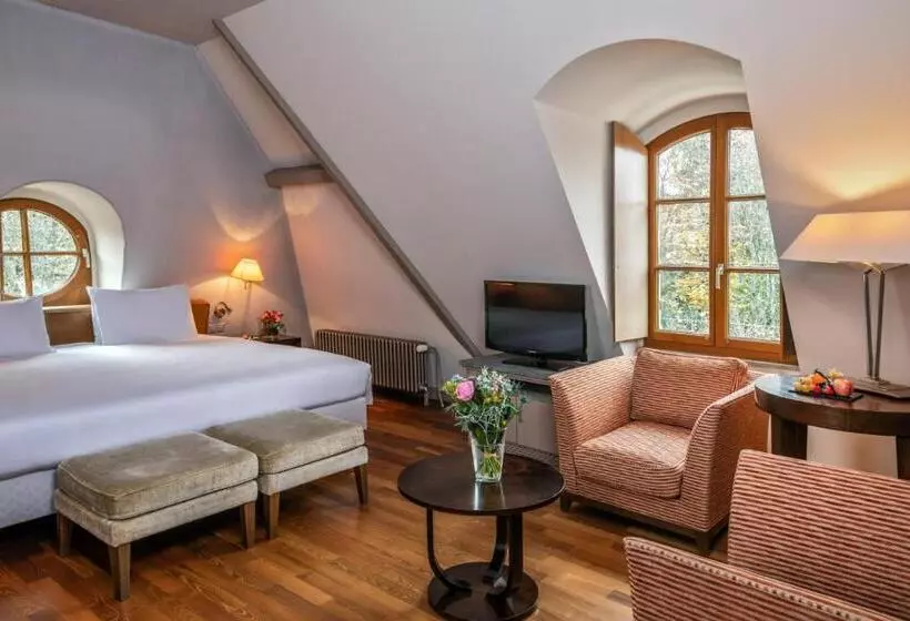 Fotos del hotel Hôtel Résidence Parc Des Eaux Vives:  17