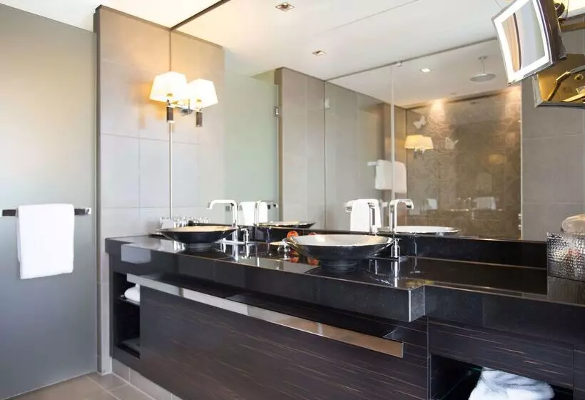 Fotos del hotel Hyatt Regency Dusseldorf:  8