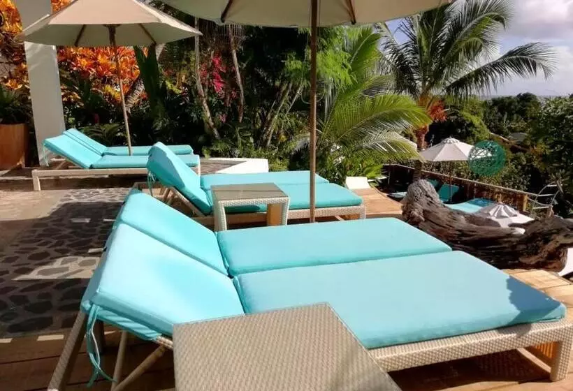 Fotos del hotel Bliss Boutique  Seychelles:  4