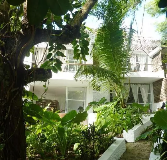 Fotos del hotel Bliss Boutique  Seychelles:  14