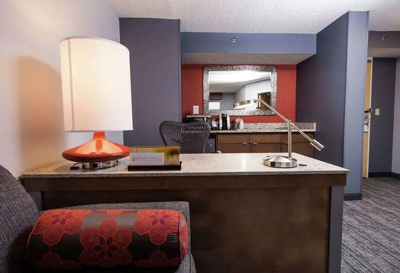 Fotos del hotel Hilton Garden Inn Atlanta Marietta:  19