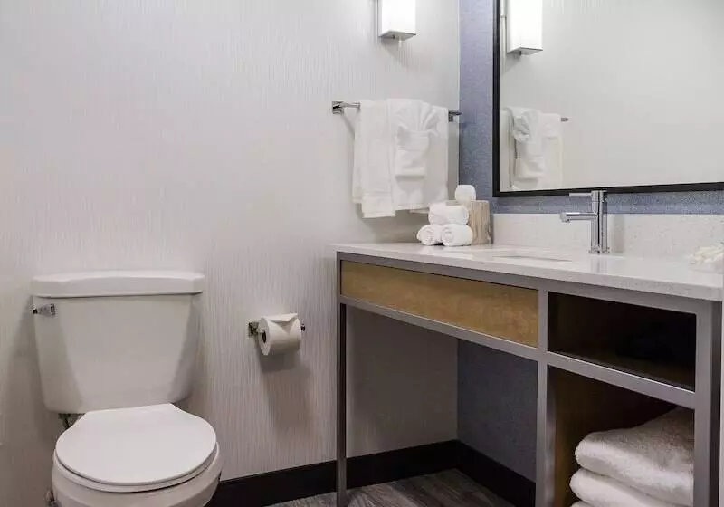 Fotos del hotel Hilton Garden Inn Atlanta Marietta:  16