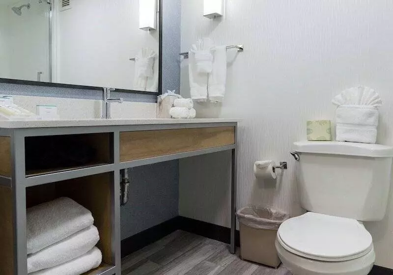 Fotos del hotel Hilton Garden Inn Atlanta Marietta:  7