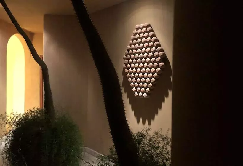 Fotos del hotel Cala De Mar Resort & Spa Ixtapa:  24