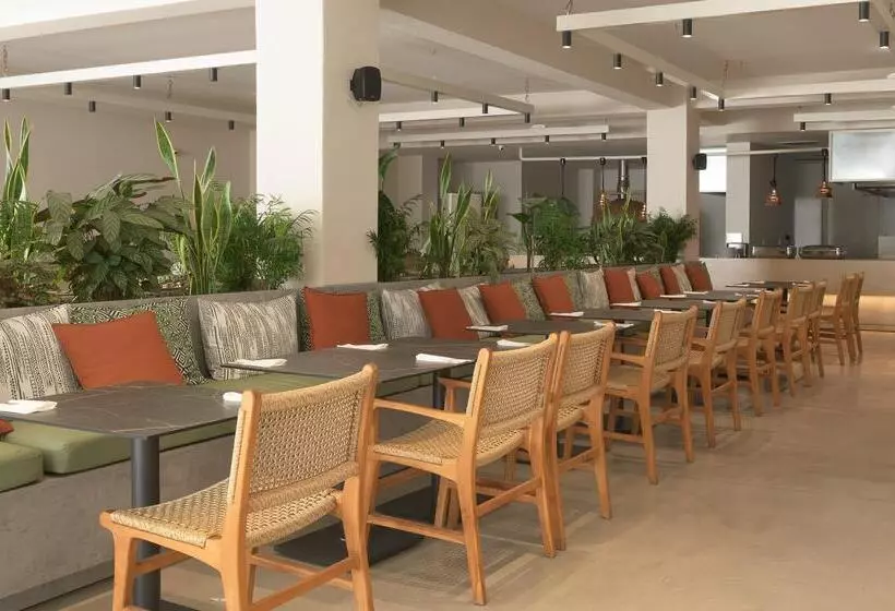 Fotos del hotel Sergios:  20