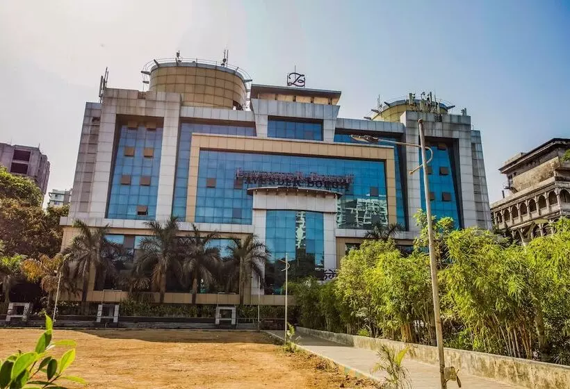 Capital O 33476 Lavender Bough