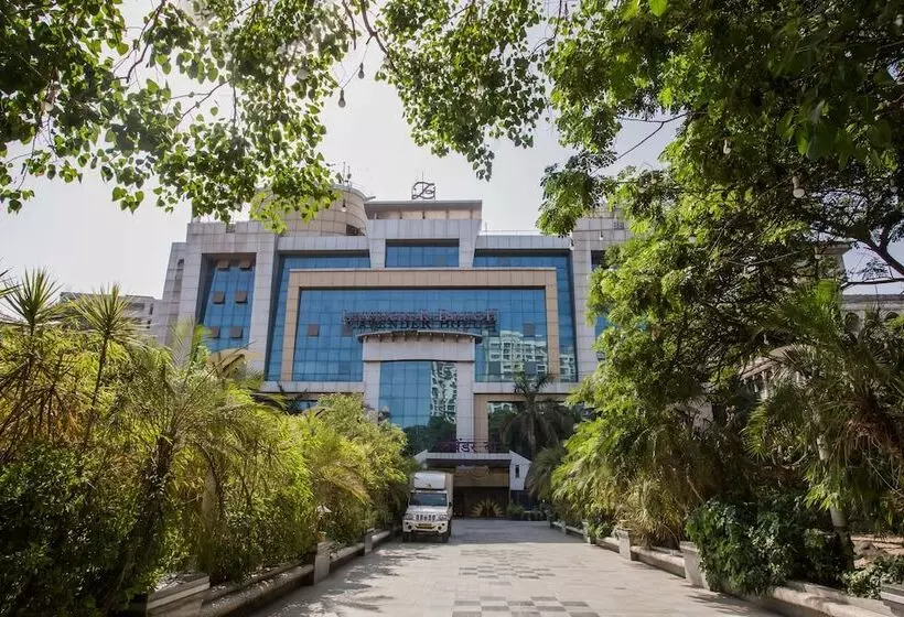 Fotos del hotel Capital O 33476 Lavender Bough:  11