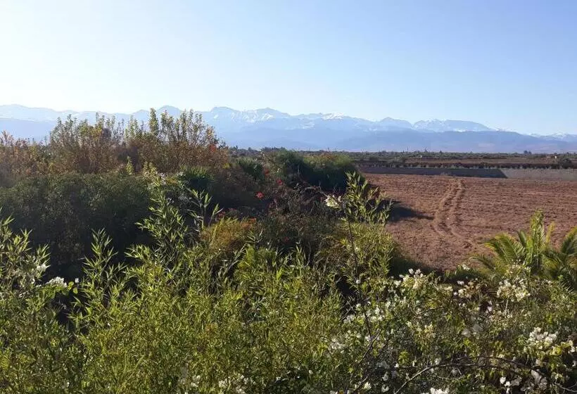 Fotos del hotel Ecolodge Quaryati Marrakech:  7