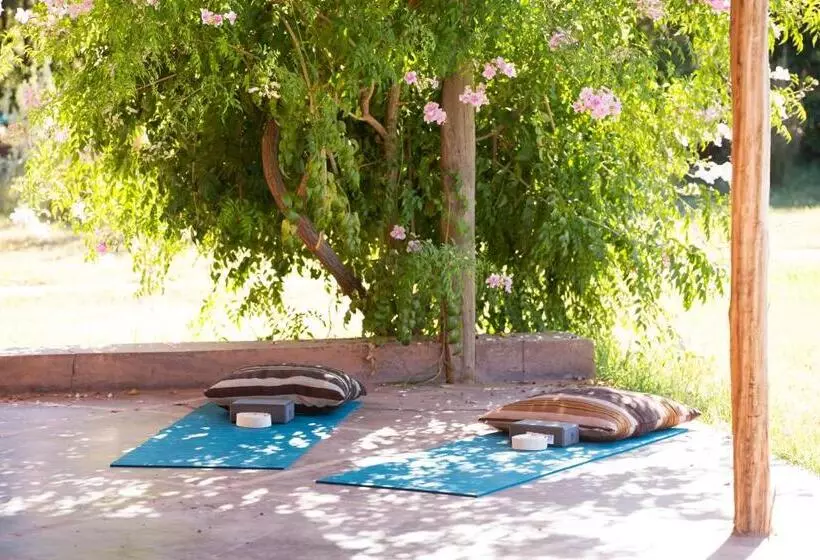 Fotos del hotel Ecolodge Quaryati Marrakech:  18