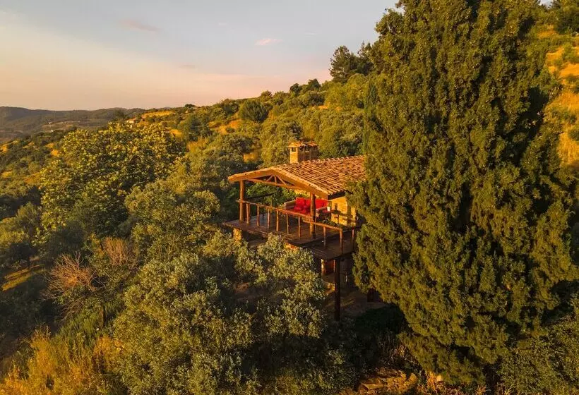 Fotos del hotel Gullu Konaklari:  13