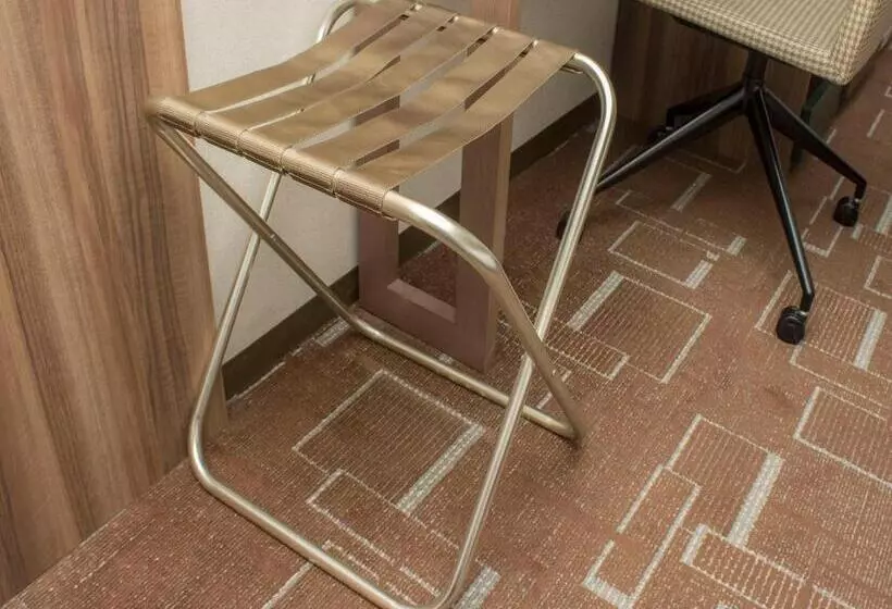 Fotos del hotel Hearton  Shinsaibashi:  2