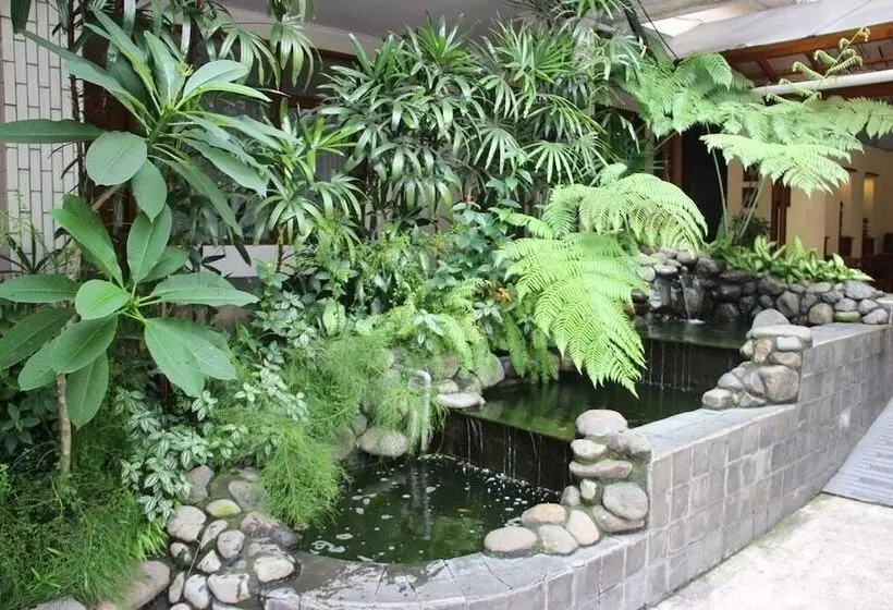 Fotos del hotel Mutiara Hotel And Convention:  6