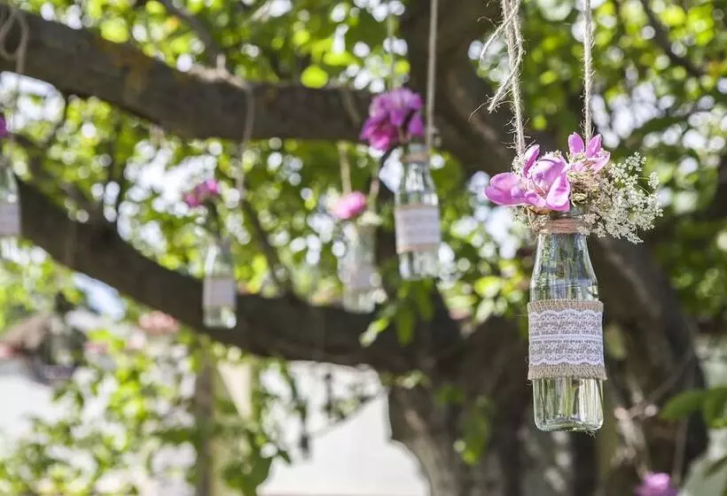 Fotos del hotel Oselya:  23