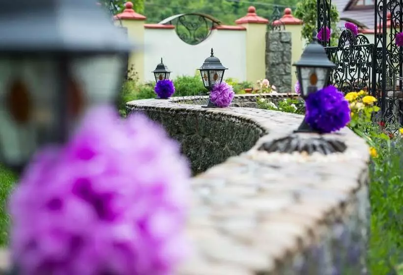 Fotos del hotel Oselya:  11