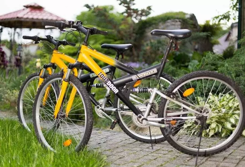 Fotos del hotel Oselya:  21