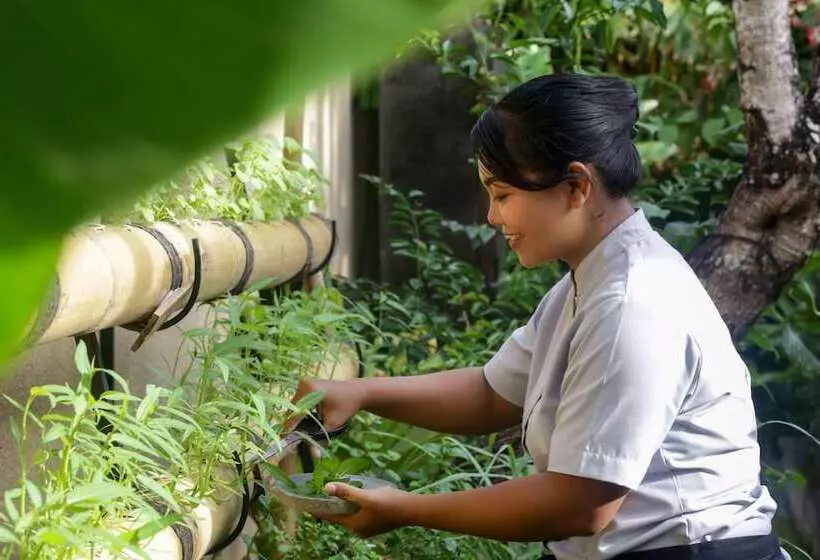 Fotos del hotel Villa Air Bali Boutique Resort:  11