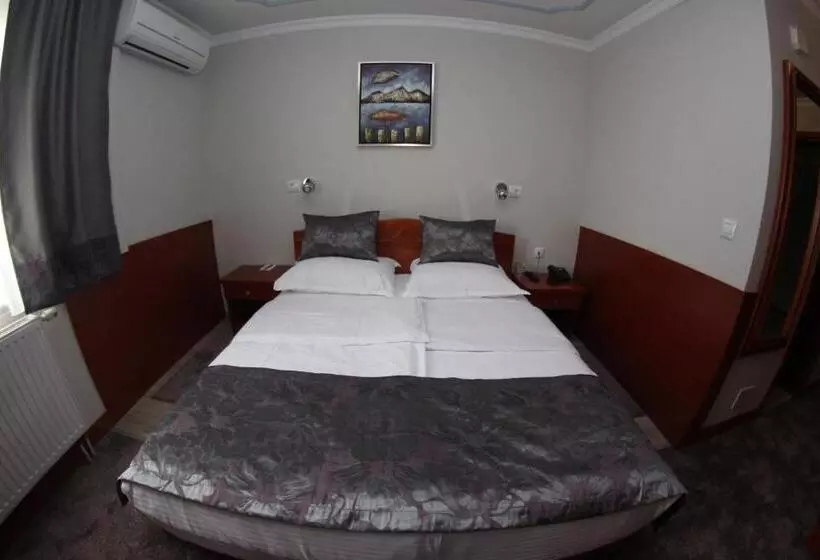 Fotos del hotel Bosna 1:  11