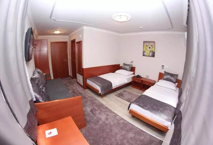 Fotos del hotel Bosna 1:  7