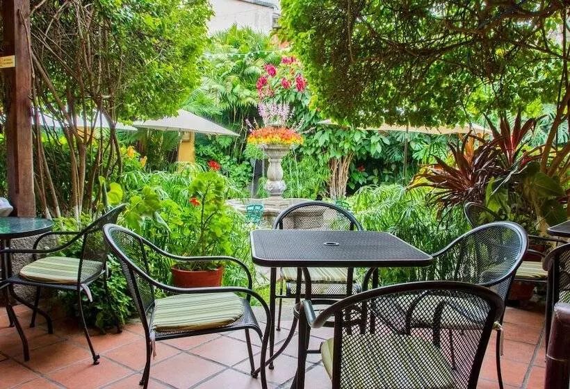 Fotos del hotel Casa Antigua By Ahs:  13