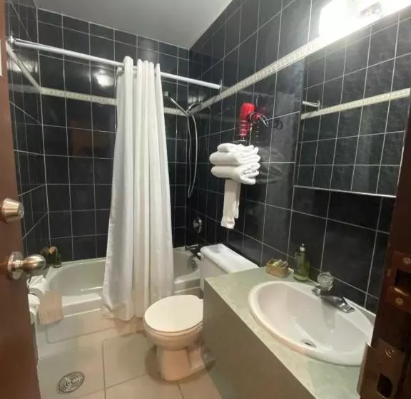 Fotos del hotel Visitel:  3